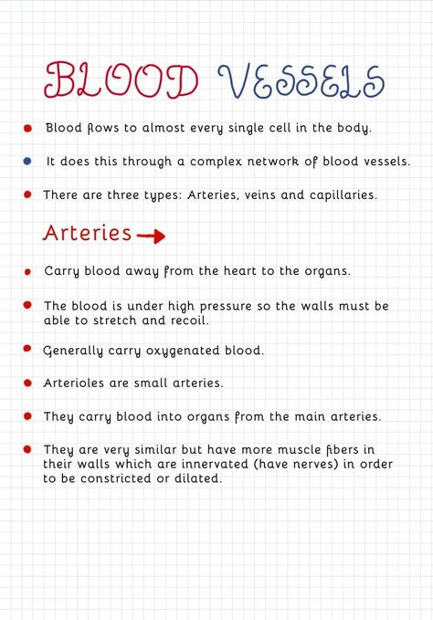 Gcse Science Notes, Gcse Science Revision Biology, Gcse Revision Help, Heart Biology Notes, Biology Notes Igcse, Gcse Study Notes, Gcse Biology Notes, Heart Revision, How To Revise Science