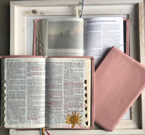 MY PINK SCRIPTURES — Emily Belle Freeman Patriarchal Blessing, Scripture Bag, Scripture Study Lds, Bible Dictionary, Lds Scriptures, Conference Talks, Spiritual Beliefs, Family Doctors, Book Of Mormon