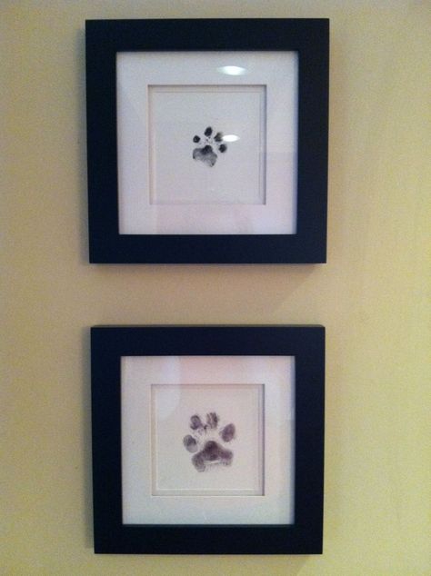 Framed Dog Paw Print, Dog Memorabilia Ideas, Simple Home Diy Upgrades, Pet Memorabilia Ideas, Dog Photo Wall Ideas, Pet Photo Wall, Multi Cat Household, Dog Artwork Diy, Dog Nook Ideas Apartment