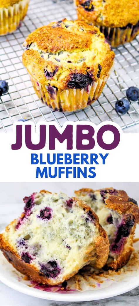 These delicious jumbo blueberry muffins are so easy to make with this simple and delightful recipe! The perfect bread for breakfast, picnics or dessert! Jumbo Blueberry Muffins Recipe, Jumbo Muffin Recipes, Biscuit Muffins, Jumbo Blueberry Muffins, Bread For Breakfast, Double Chocolate Chip Muffins, Blueberry Muffins Recipe, Applesauce Muffins, Breakfast Quiche Recipes