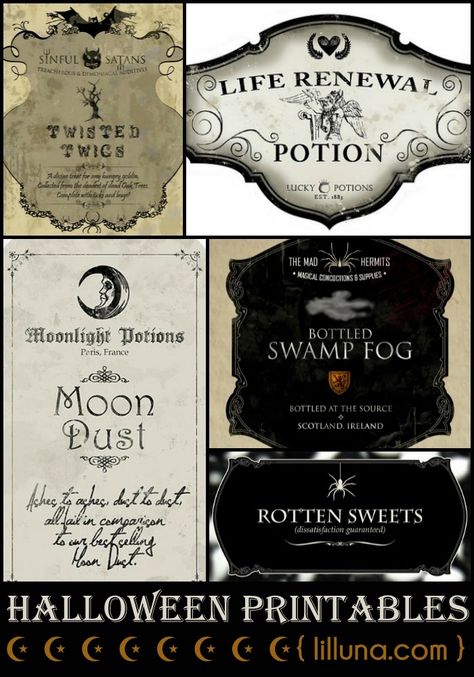 Halloween Printables - super spooky for Halloween! { lilluna.com } Free Halloween Prints, Halloween Apothecary Labels, Halloween Potion, Halloween Apothecary, Potion Labels, Apothecary Labels, Halloween Bottles, Festa Harry Potter, Halloween Potions