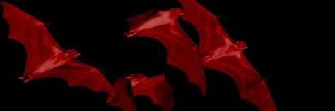 Black And Red Header, Vampire Banner, Blood Banner, Aesthetic Twitter Header, Red Goth, Twt Header, Not Aesthetic, Black Banner, Twitter Header Pictures