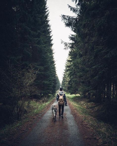 Trail Dog, Hiking Photography, Dog Photoshoot, Hiking Dogs, Adventure Aesthetic, Dog Adventure, Man And Dog, Wolf Dog, Dog Travel