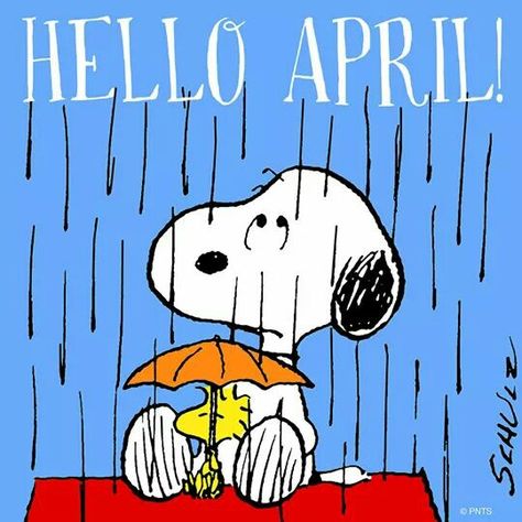 Its raining cats and dogs. Snoopy April, Woodstock Snoopy, Woodstock Peanuts, Hello April, Snoopy Funny, Peanuts Cartoon, Peanuts Characters, Snoopy Quotes, Snoopy Pictures