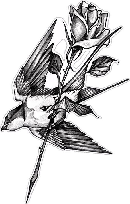 Bird With Rose Tattoo, Bird And Rose Tattoo, Tattoo Ideas Birds, Bird Tattoo Ideas, Tattoos Sketches, Swallow Bird Tattoos, Tricep Tattoos, Bird Tattoo Men, Delicate Tattoos For Women