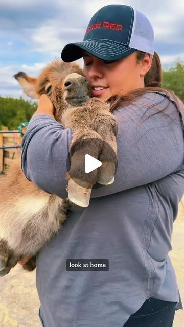 Katie Van Slyke-Mabry on Instagram: "How adorable is Pico on a scale of 1 to awwww 🥰? 

#minidonkey #donkeysofinstagram #miniaturedonkey #miniaturedonkeys #minidonkeysofinstagram #minifarm #miniaturefarm #katievanslyke #runningspringsminifarm #minihorses" Katie Van Slyke, Baby Donkeys, Mini Donkeys, Cows Mooing, Baby Donkey, Mini Donkey, Miniature Donkey, Cute Donkey, Mini Cows