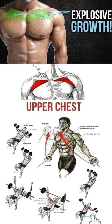 Uper chest best workout 💪 | chest video do follow in 2022 | Chest workout, Gym workout videos, Gym workouts for men Upper Chest Exercises Men, Upper Chest Workout Men Gym, Upper Chest Workout Men, Upper Chest Exercises, Upper Chest Workout, Chest Workout For Men, Chest Workout Routine, Workout Men, Latihan Dada