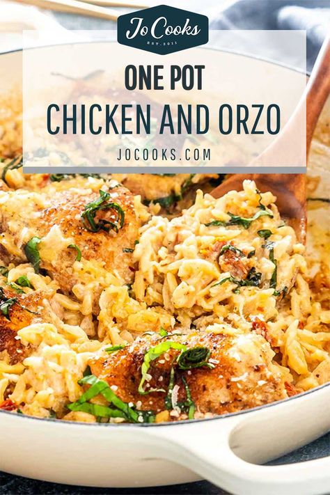 Cook Orzo In Chicken Broth, Sun Dried Tomato Chicken Orzo, Chicken Thighs Pasta Recipes, Chicken Thighs And Orzo Recipes, One Pot Chicken And Orzo, Dutch Oven Chicken Thighs, Dinner Ideas With Chicken, Seasoned Chicken Thighs, Chicken And Orzo