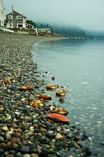 take me here. Rocky Beach, Pure Michigan, To Infinity And Beyond, New Hampshire, Beach Life, East Coast, Beautiful World, The Great Outdoors, Wonders Of The World