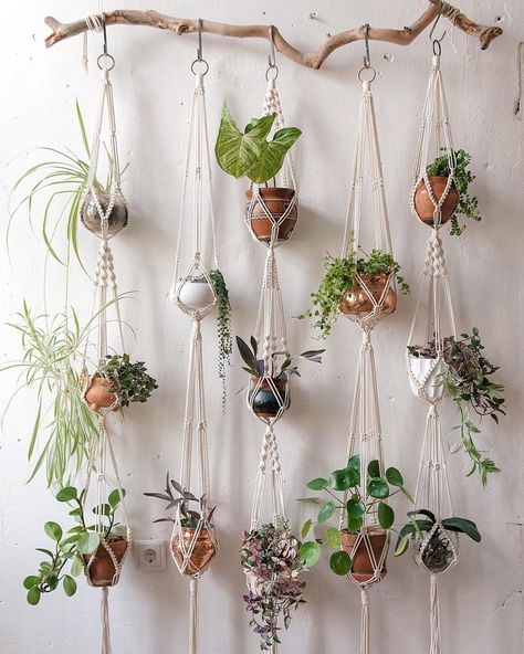 Whether you've got a blank wall that needs a little something or you've been trying to figure out a way to incorporate more greenery into your space, a plant Bottle Plants Ideas, Small Hanging Plants, Hanging Pot Plants, Macrame Photo Wall Hanging, Plant Hanging Ideas, Wooden Plant Hanger, Hanging Plants Ideas, Shelves Plant, Takken Decor