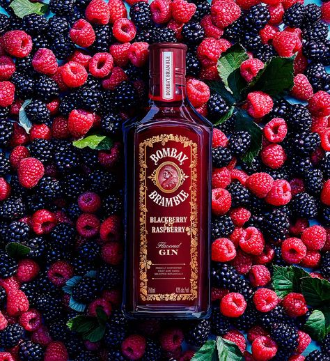 Bombay Bramble | Blackberry and Raspberry Gin Gin Alcohol, Gin Drink Recipes, Blackberry Gin, Bramble Cocktail, Alcohol Store, Blackberry Bramble, Raspberry Drink, Raspberry Gin, Flavoured Gin