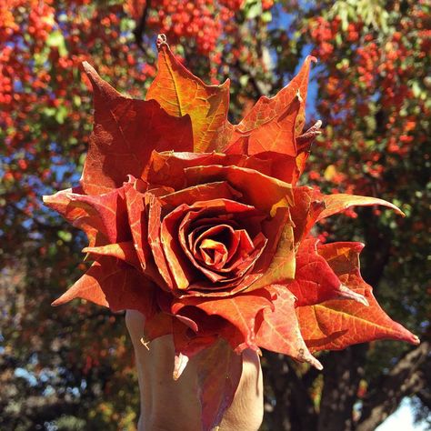 Turn colorful autumn leaves into a rose bouquet - tutorial | Five Marigolds Autumn Leaves Bouquet, Umbrella Project, Leaf Roses, Autumn Celebration, Autumn Diy, Autumn Bouquet, Bouquet Tutorial, Diy Leaves, Autumn Rose