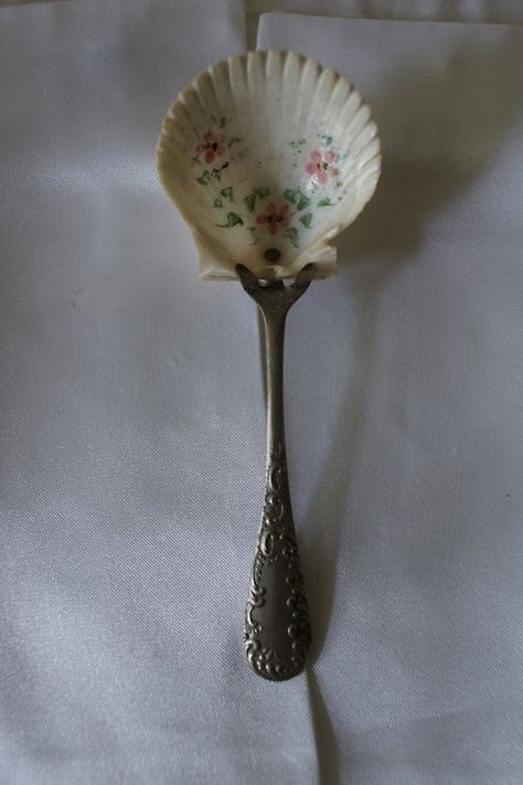 Shell Spoon, Mermaid Aesthetic, Sugar Spoon, Shell Crafts, Dream House Decor, Knick Knacks, Sea Shells, Teak, Sweet Home