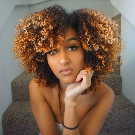 Highlights On Dark Hair, 3c Natural Hair, Blonde Highlights On Dark Hair, Hair Black Women, Dark Hair With Highlights, Colored Curly Hair, Beautiful Natural Hair, Dyed Natural Hair, Pelo Afro