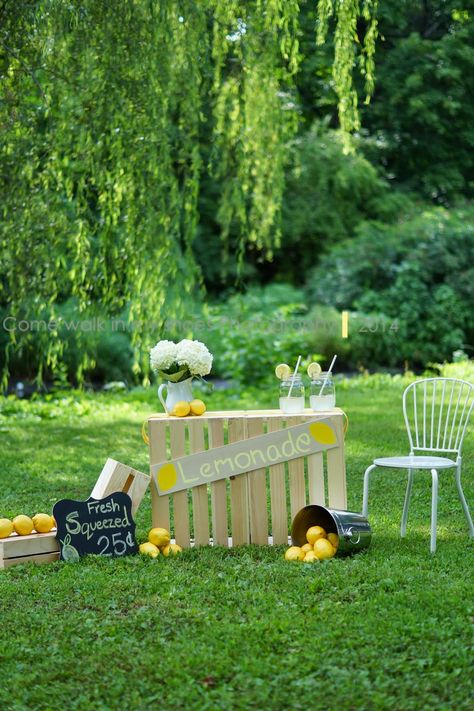 Lemon Photoshoot Ideas, Outdoor Mini Session Ideas, Mini Photoshoot Ideas, Lemonade Photoshoot, Summer Mini Session Ideas, Lemonade Stand Photo Shoot, Lemon Themed Party, Baby Photography Backdrop, Mini Photo Shoot