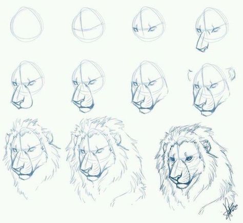 how to draw a lion in eleven steps step by step drawing animals pencil sketch on white background Animals Step By Step, Trin For Trin Tegning, Lion Sketch, Lion Drawing, Princess Drawings, Pencil Drawings Easy, Lion Art, Pencil Art Drawings, Creative Drawing