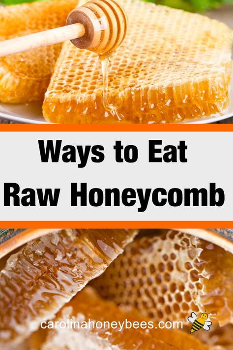 Honeycomb Raw, Raw Honeycomb, Fresh Honeycomb, Honey Snacks, Honeycomb Recipe, Recipe Using Honey, 140 Pounds, Honey Recipes, My Career