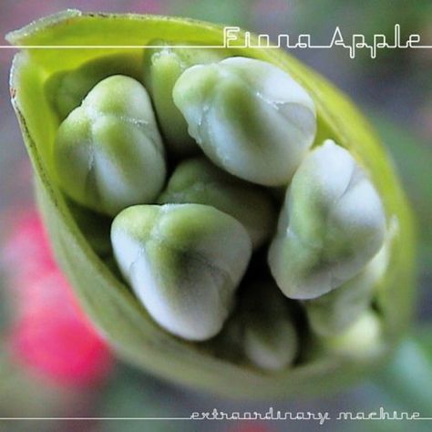 Extraordinary Machine, Fiona Apple, Vinyl, Music