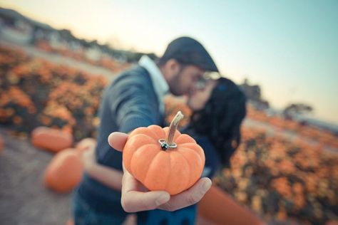 pumpkin patch engagement photo. I want someone to propose to me in a pumpkin patch!! Pumpkin Patch Engagement, Pumpkin Patch Photography, Halloween Wedding Decorations, Fall Engagement Pictures, Engagement Photos Fall, Engagement Poses, Engagement Photo Poses, Wedding Engagement Photos, Fall Engagement