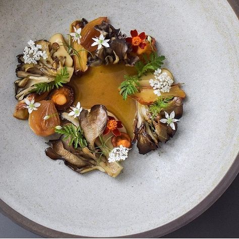 Culinary and Fine Dining on Instagram: “💥Mushrooms 💥By Chef: @seanymacd 📸Picture by: @benehrensperger 🏠Restaurant: @est.restaurant 🔥Follow: 🔥@the_food_obsessions 🔥@seanymacd…” Molecular Food, Fine Dining Plating, Mushroom Dish, Vegan Menu, Fine Dining Recipes, London Food, Vegetarian Dinners, Food Goals, Fine Dining Restaurant