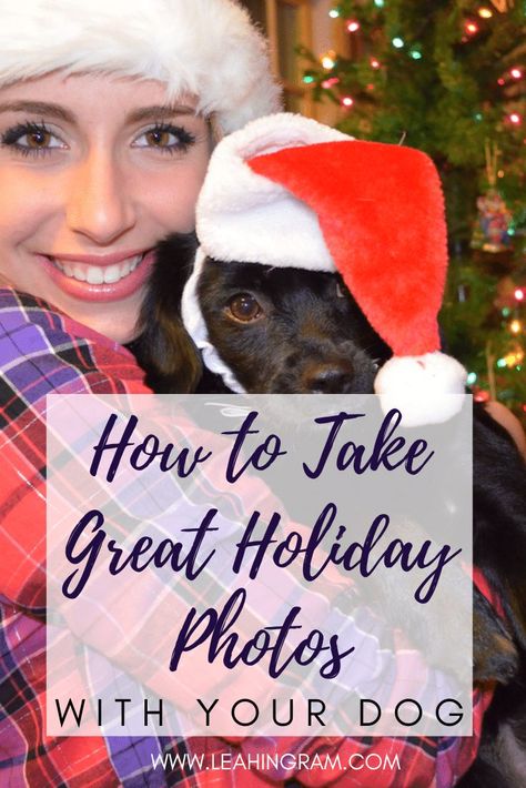 How to Take Great Holiday Photos with Your Dog - Leah Ingram Dog Holiday Photos, Photos With Your Dog, Holiday Dog Photos, Christmas Pet Photos, Dog Christmas Photos, Dog Christmas Pictures, Family Photos With Baby, Dogs Christmas, Photos With Dog