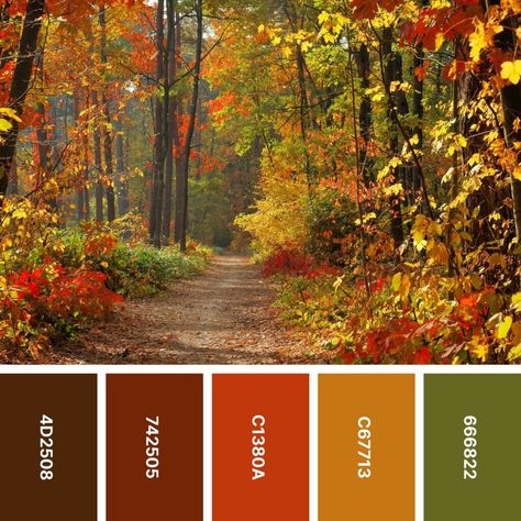 Autumn Leaves Colour Palette, Sage Green And Cranberry Color Palettes, Green Autumn Color Palette, Color Palettes Autumn, Fall Color Inspiration, Fall Leaves Colors, Autumn Leaf Color Palette, Autumn Leaves Color Palette, Fall Palette Colors