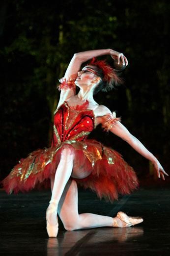 Firebird Pretty Ugly, Adult Ballet, Dance Forever, Ballet Performances, Ballet Poses, Ballet Art, Ballet Photos, Fire Bird, Classical Ballet