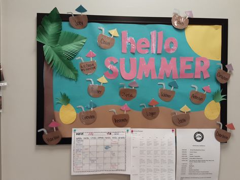 Hello Kitty Bulletin Board, Summer Bulliten Boards, Summer Boards For Preschool, Beach Bulletin Board Ideas Preschool, Summer Preschool Bulletin Boards, Summer Bulletin Boards For Toddler Room, Infant Summer Bulletin Boards, Palm Tree Bulletin Board Ideas, Summer Birthday Bulletin Boards