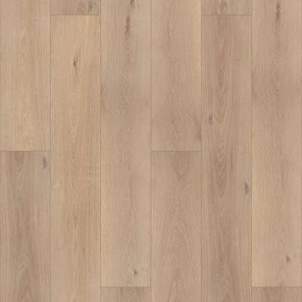 Coretec Pro Enhanced Vv488 Resilient - Ravenswood Oak Swatch Image Coretec Ravenswood Oak, Ravenswood Oak, Flooring Vinyl Plank, Flooring Vinyl, Shaw Floors, Types Of Flooring, Plank Flooring, House Flooring, Vinyl Flooring