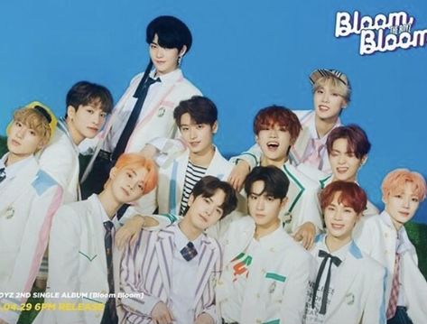 The Boyz Bloom Bloom, Top Kpop, Kpop Profiles, Ft Island, All About Kpop, Pre Debut, Group Photo, Photo Photo, The Boyz