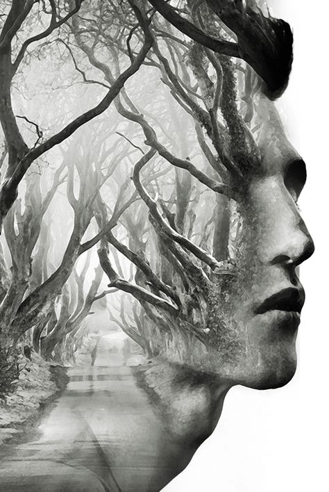 ♥ treeman, am artworks - Antonio Mora The Dark Hedges, Antonio Machado, Dark Hedges, Foto Tips, Foto Art, The Fog, Pics Art, Double Exposure, Beautiful Tree