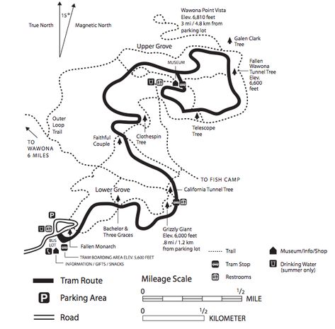 Snow Plant, Tree Life Cycle, Giant Sequoia Trees, System Map, Valley Of Fire State Park, Yosemite Park, Hiking Map, Hiking National Parks, Park Trails