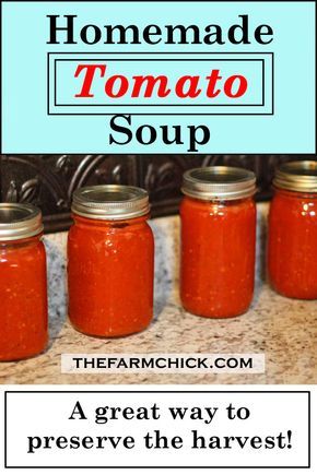 Canning Tomato Soup, Best Homemade Tomato Soup, Winter Chili, Tomato Soup From Scratch, Canning Soup Recipes, Canning Tomatoes Recipes, Tomatoes In Containers, Fresh Tomato Soup, Homemade Tomato Soup