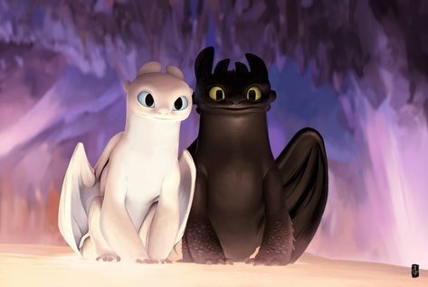 Toothless Wallpaper Laptop, Toothless And Light Fury Wallpaper, Light Fury Wallpaper, Fury Wallpaper, Toothless And Light Fury, Toothless Wallpaper, Cute Toothless, Dragon Light, Pokemon Charizard