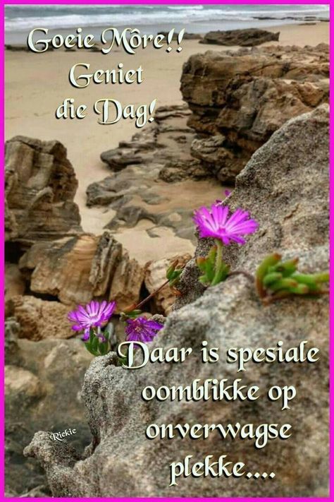 Vrolike Goeiemore Boodskappe, Fairy Garden Crafts, Afrikaans Quotes, Happy Good Morning Quotes, Christian Messages, Diy Yard, Sister Quotes, Pictures Of The Week, Good Morning Coffee