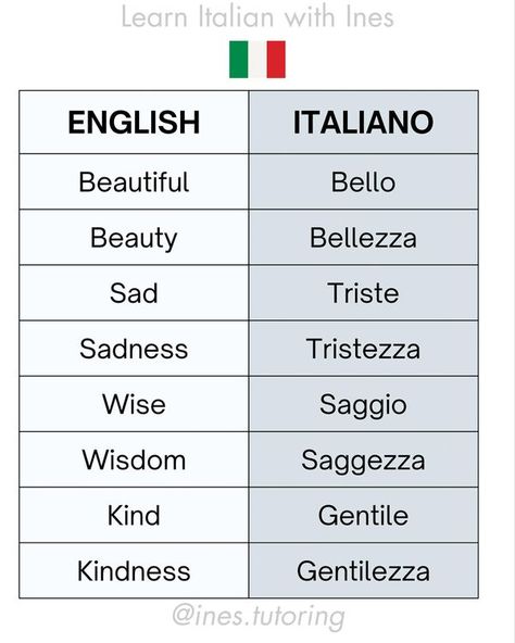 Learn Italian with Ines Studying Italian, Cute French Words, Italian To English, Italian Learning, Language Italian, Language Learning Apps, Italian Grammar, Italian Vocabulary, Italian Lessons