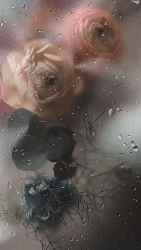 Flowers Behind Glass Wallpaper, Rose In Rain, Rose Iphone Wallpaper, Blurred Wallpaper, Blurred Photos, Rain Photos, Pfp Wallpapers, Titusville Florida, Wet Flowers