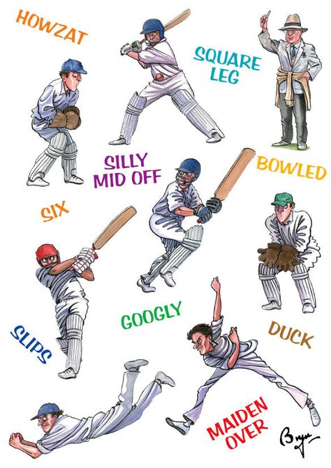 Cricket birthday card. Cricketing Terms by Bryn Parry Cartoon cricket players with terminology. This card is left blank on the inside making it ideal for lots of occasions such as birthdays, thank you, Father's Day, and general correspondence Large A5 greeting card with envelope. Printed on heavyweight 350gsm silk greeting card stock. The interior of the card has a matt finish making it ideal for smudge-free writing with all pen types. Dimensions 155mm x 216mm when folded. Weight 28g. Standard l Cricket Theme Birthday, Cricket Dp, Cricket Cartoon, Matt Interior, Cricket Players, Free Writing, Easy Writing, Cellophane Wrap, Office Paper