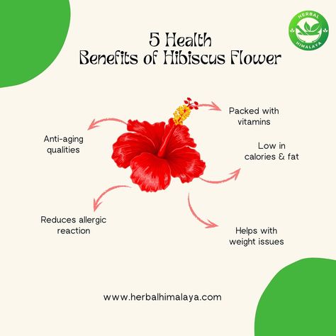 🌺 5 Benefits of Hibiscus Tea 🌺 🍵 Boosts Immunity: Packed with Vitamin C to keep colds at bay. ❤️ Supports Heart Health: Helps maintain healthy blood pressure levels. 🌿 Aids Digestion: Promotes a healthy gut and smooth digestion. ✨ Rich in Antioxidants: Fights free radicals and reduces oxidative stress. 🌸 Natural Stress Reliever: Calms the mind and relaxes the body. #hibiscustea #healthbenefits #teatime #wellness #naturalhealing #sipsiphooray Benefits Of Hibiscus Tea, Benefits Of Hibiscus, Hibiscus Tea Benefits, Healthy Blood Pressure, Hibiscus Tea, Allergic Reaction, Healthy Gut, Free Radicals, Heart Health