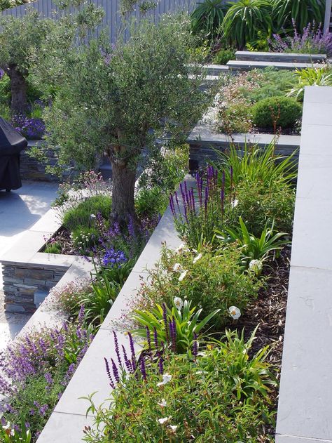 Mediterranean Terrace, Steep Gardens, Sloped Backyard Landscaping, Mediterranean Garden Design, Terraced Landscaping, Terrace Garden Ideas, Terrace Garden Design, Stone Steps, Tiered Garden