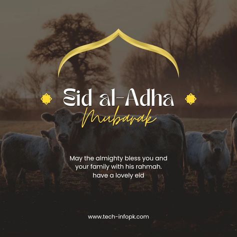 Wish You a Very Happy Bakra Eid Mubarak.. 🐑🐑 #bakraeid #eidmubarak #eid2024 Happy Bakra Eid Mubarak, Bakra Eid Mubarak, Bakra Eid, Education Student, University Admissions, Studying Abroad, Tech Info, Good Student, Personalized Learning