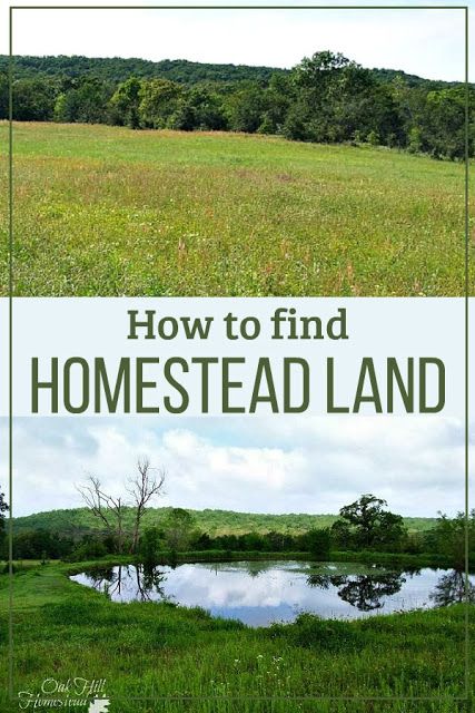 How To Live Off The Land, 10 Acre Homestead Layout, Idaho Homestead, Homestead On 1/4 Acre, First Steps To Homesteading, Homestead Community, 1 Acre Homestead Layout, Self Sufficient On 1/4 Acre, Buying Land For Homestead