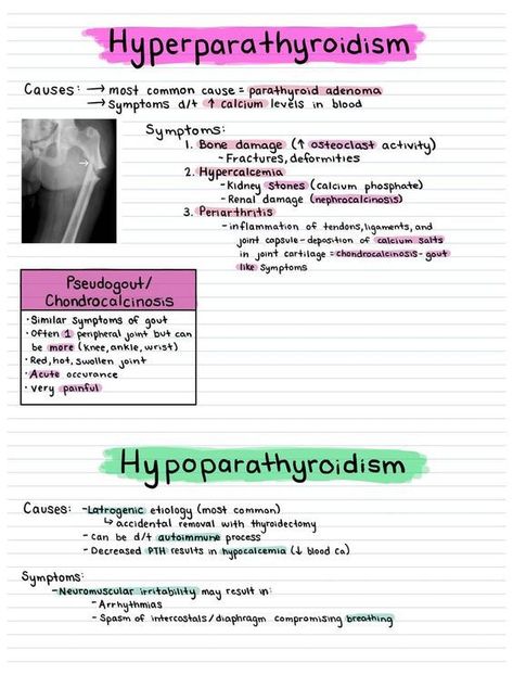 Hyperparathyroidism vs Hypoparathyroidism #medicalschool #resources #medicalstudent - Image Credits: Caroline Bontempo Biochemistry Notes, Medical Notes, Nurse School, Nursing School Survival, College Advice, Nursing School Notes, Medical School Essentials, Nursing Tips, School Survival