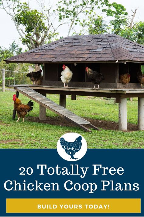 Mobile Chicken Coop Diy, Simple Chicken House, Chicken House Plans, Free Chicken Coop Plans, Free Chicken Coop, Chicken Coop Plans Free, Cheap Chicken Coops, Chicken Coop Pallets, Mobile Chicken Coop