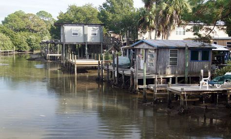 Cedar Key in 2024 - A Small, Authentic, Old Florida City • Authentic Florida Hotels Near Disney World, Cedar Key Florida, Florida Trips, Cedar Key, Florida Landscape, Destination Vacation, Beautiful Florida, Places In Florida, Kissimmee Florida