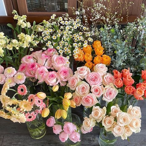 Annaliese Core, Boquette Flowers, Bloom Where You Are Planted, Book Flowers, Pink Carnations, Nothing But Flowers, Wallpaper Nature Flowers, Flower Therapy, Beautiful Bouquet Of Flowers