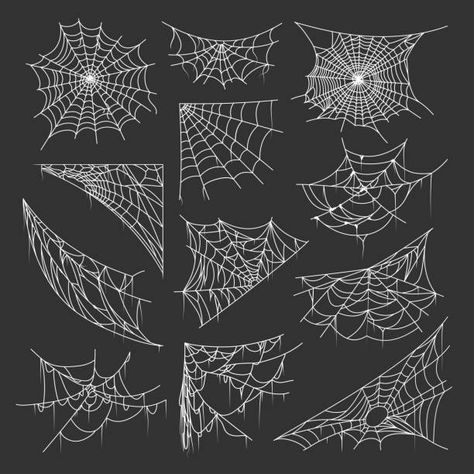 Drawing Of Spider Web, Drawn Spider Webs, Painted Spider Webs, Spider Web Reference, Spiders Web Drawing, Spider Webb Drawings, Spiderweb Reference, Spider Web Drawing Realistic, Painting Spider Webs