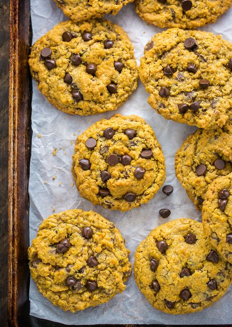 Pumpkin Oatmeal Chocolate Chip, Pumpkin Oatmeal Chocolate Chip Cookies, Pumpkin Cookies Easy, Chocolate Chip Oatmeal Cookies, Oatmeal Chocolate Chip Cookie Recipe, Vegan Alfredo, Baker By Nature, Pumpkin Cookie Recipe, Pumpkin Recipes Easy