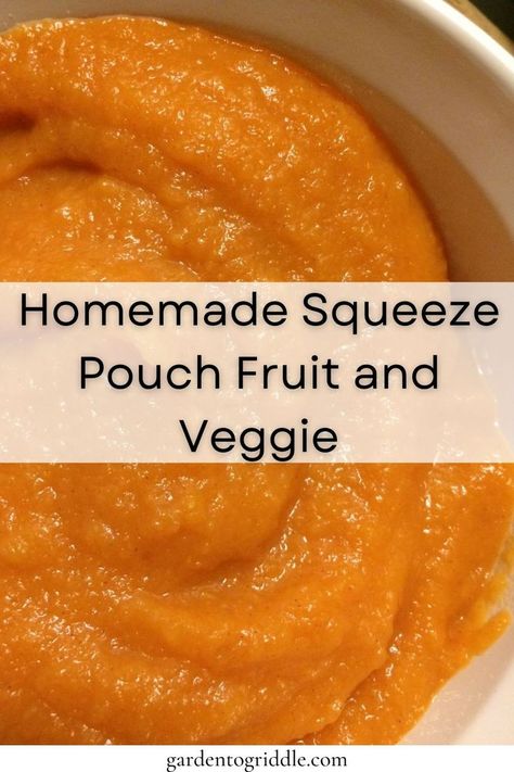 Fruit and Veggie Squeeze Pouch spread openly in a white bowl. Fruit Squeeze Pouches, Homemade Gogo Squeeze, Diy Pouch Recipes, Pouch Food Recipes, Sweet Potato Pouch Recipe, Fruit And Veggie Squeeze Pouch, Homemade Applesauce Pouches, Diy Fruit Pouches For Kids, Hidden Veggie Applesauce