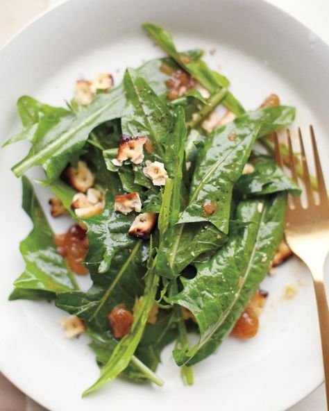 Wilted Dandelion Greens with Toasted Matzo Crumbles Recipe Sauteed Collard Greens, Dandelion Salad, Bitter Herbs, Passover Feast, Passover Food, Passover Ideas, Dandelion Greens, Matzo Meal, Herb Salad